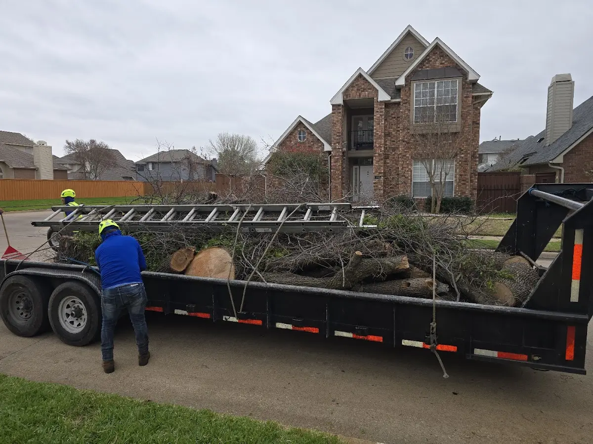 Expert Crown Reduction with proper safety equipment in Lagrangeville